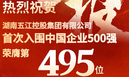 喜報！集團首次躋身中國企業500強