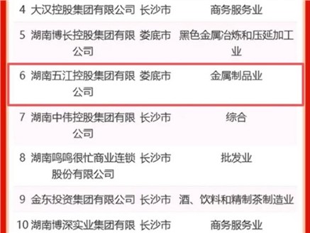 集團榮獲2025“三湘民企百強榜”第6名